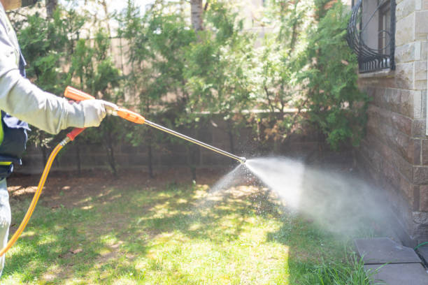 Best Pest Prevention Services  in Roessleville, NY