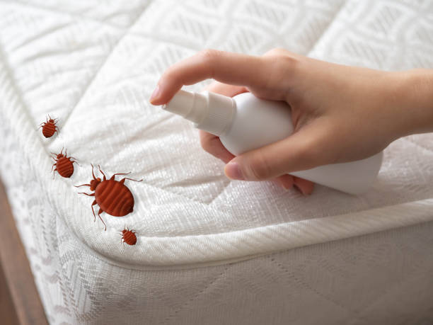 Best Residential Pest Control  in Roessleville, NY